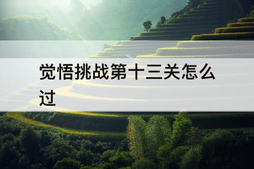 觉悟挑战第十三关怎么过