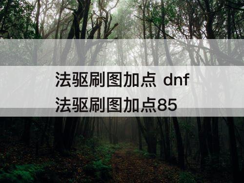 法驱刷图加点 dnf法驱刷图加点85