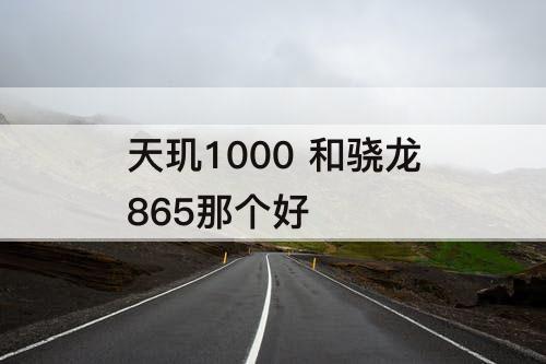 天玑1000 和骁龙865那个好