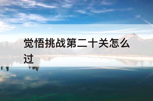 觉悟挑战第二十关怎么过