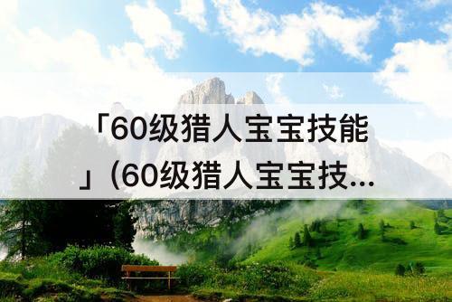 「60级猎人宝宝技能」(60级猎人宝宝技能在哪学)