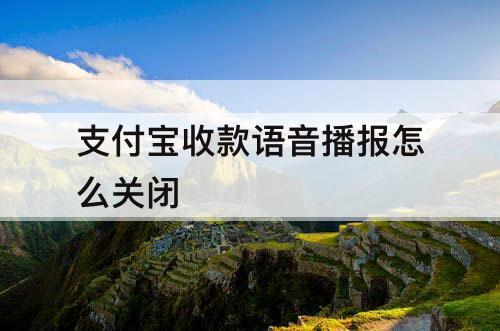 支付宝收款语音播报怎么关闭