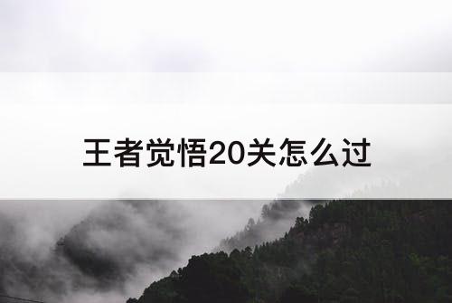 王者觉悟20关怎么过