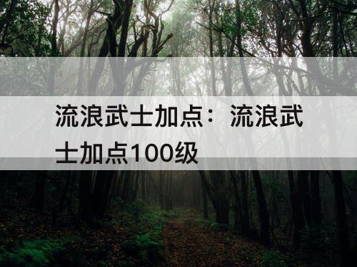 流浪武士加点：流浪武士加点100级
