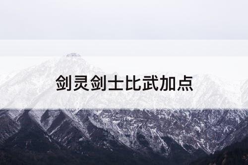 剑灵剑士比武加点