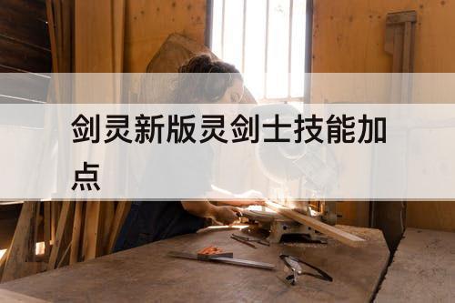 剑灵新版灵剑士技能加点