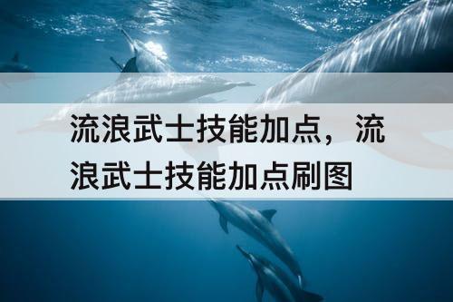 流浪武士技能加点，流浪武士技能加点刷图