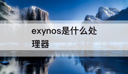 exynos是什么处理器