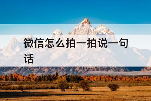 微信怎么拍一拍说一句话