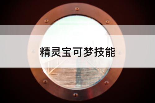 精灵宝可梦技能