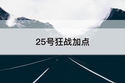 25号狂战加点