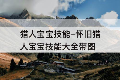 猎人宝宝技能-怀旧猎人宝宝技能大全带图