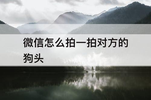 微信怎么拍一拍对方的狗头