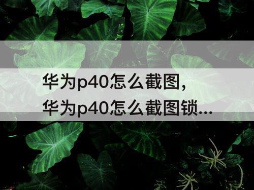 华为p40怎么截图，华为p40怎么截图锁屏