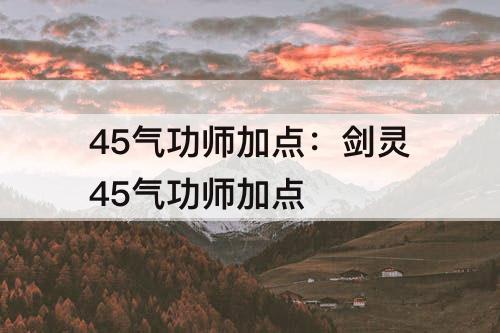 45气功师加点：剑灵45气功师加点