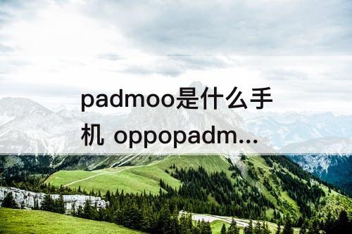 padmoo是什么手机 oppopadmoo是什么手机型号