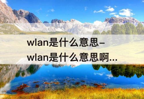 wlan是什么意思-wlan是什么意思啊d
