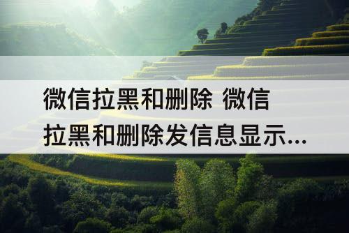 微信拉黑和删除 微信拉黑和删除发信息显示什么不同