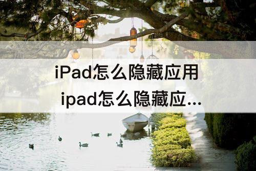 iPad怎么隐藏应用 ipad怎么隐藏应用图标