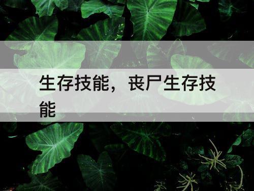 生存技能，丧尸生存技能