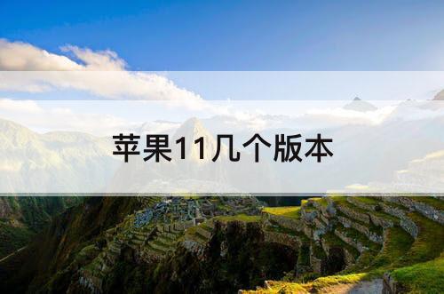 苹果11几个版本