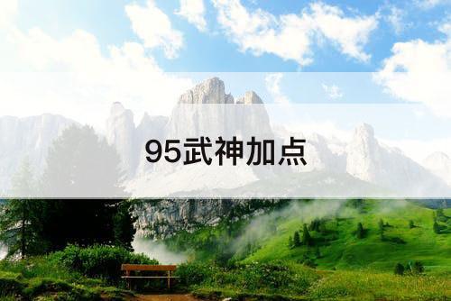 95武神加点