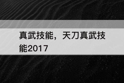 真武技能，天刀真武技能2017