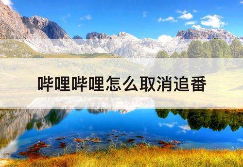哔哩哔哩怎么取消追番