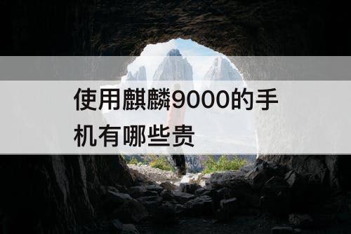 使用麒麟9000的手机有哪些贵