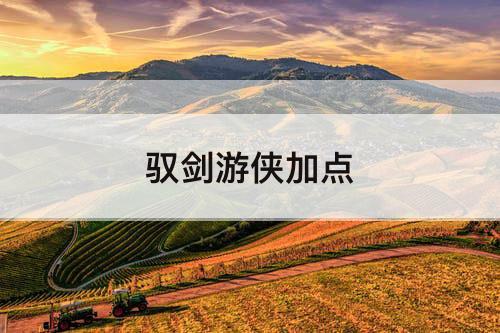驭剑游侠加点