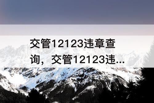 交管12123违章查询，交管12123违章查询是实时更新的吗