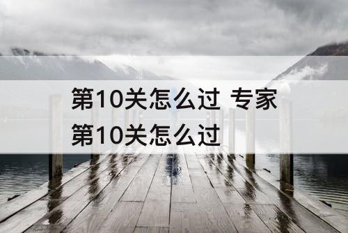 第10关怎么过 专家第10关怎么过