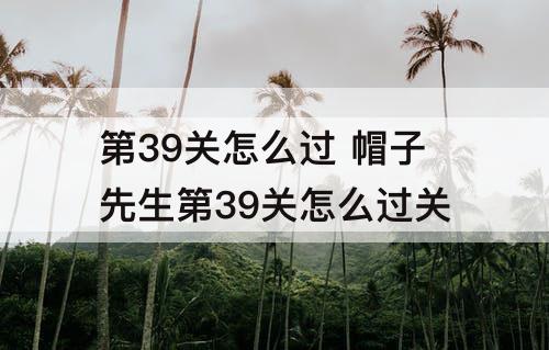 第39关怎么过 帽子先生第39关怎么过关