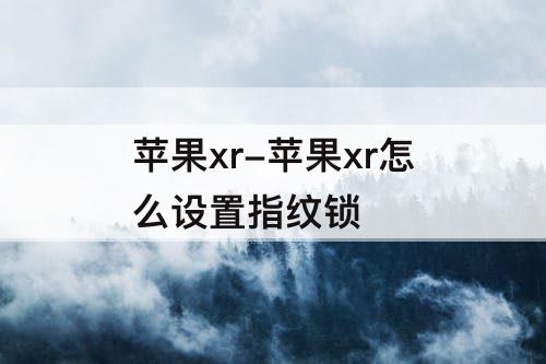 苹果xr-苹果xr怎么设置指纹锁