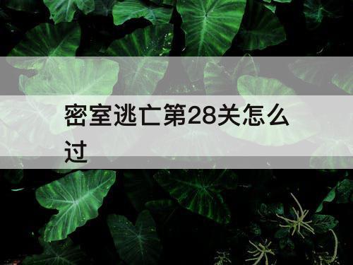 密室逃亡第28关怎么过