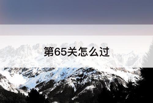 第65关怎么过