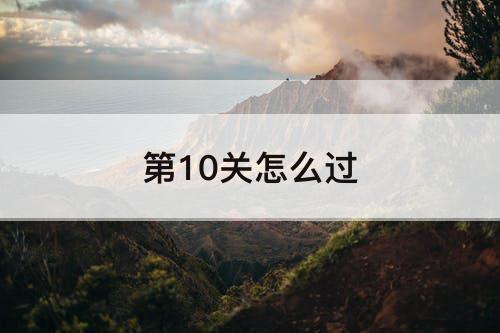 第10关怎么过