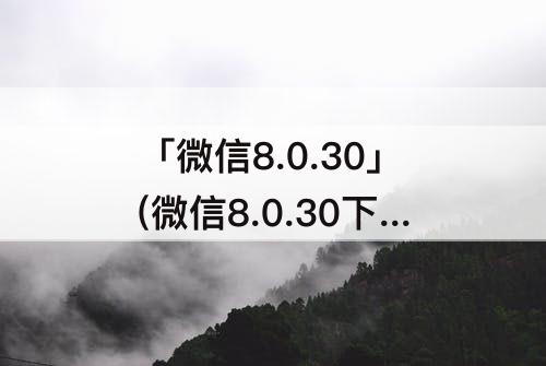 「微信8.0.30」(微信8.0.30下载)
