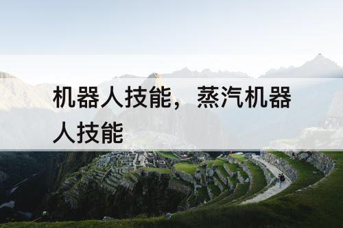 机器人技能，蒸汽机器人技能