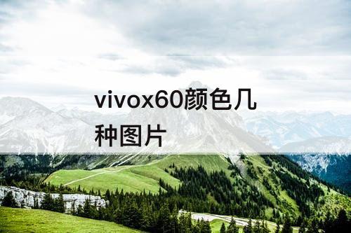 vivox60颜色几种图片