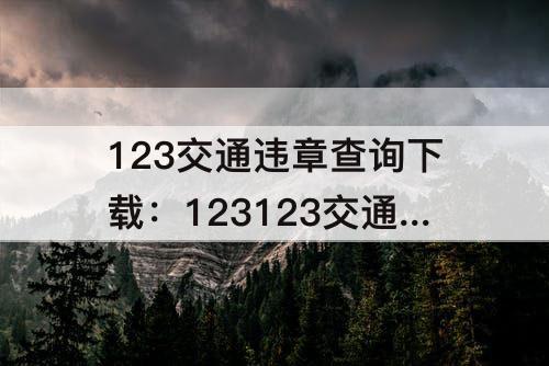 123交通违章查询下载：123123交通违章查询下载皇家