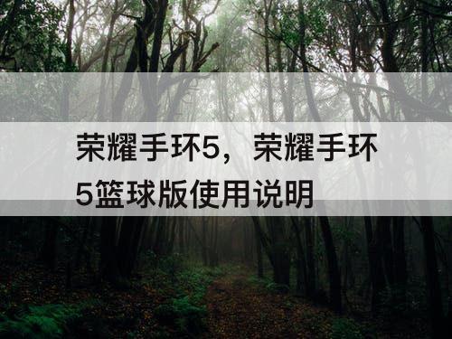 荣耀手环5，荣耀手环5篮球版使用说明
