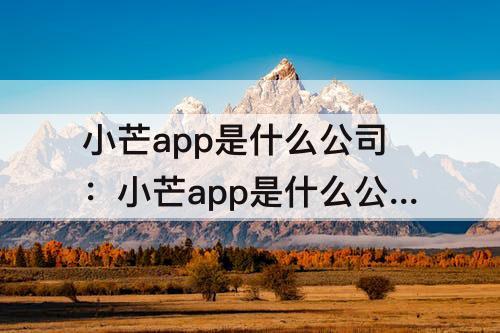 小芒app是什么公司：小芒app是什么公司的