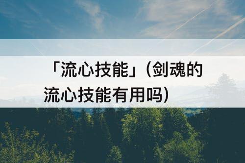 「流心技能」(剑魂的流心技能有用吗)