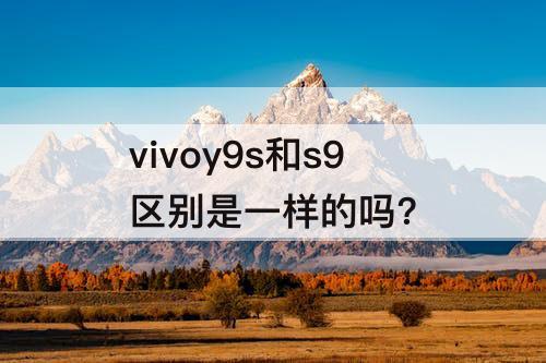 vivoy9s和s9区别是一样的吗?