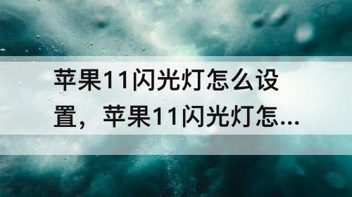苹果11闪光灯怎么设置，苹果11闪光灯怎么设置的