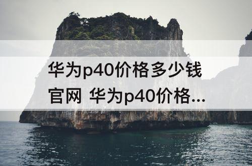 华为p40价格多少钱官网 华为p40价格多少钱官网8+128图片