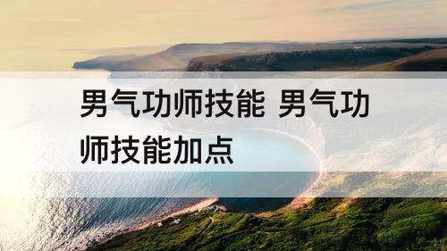 男气功师技能 男气功师技能加点