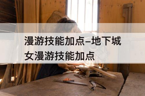漫游技能加点-地下城女漫游技能加点