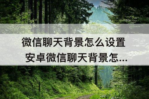 微信聊天背景怎么设置 安卓微信聊天背景怎么设置